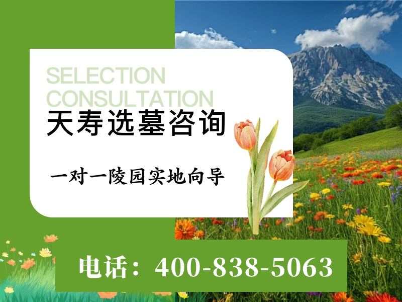 天寿陵园秋天的银杏大道走一趟满地金黄，美不胜收的景象